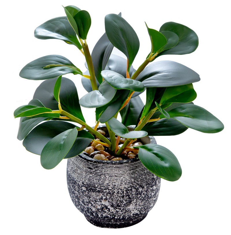 AlphaAcc Artificial Plants Potted Real Looking Small Faux Plant with Rustic Black Cement Planter for Kitchen Office Desk Bookshelf Decor (Ficus Plant) - Image 1