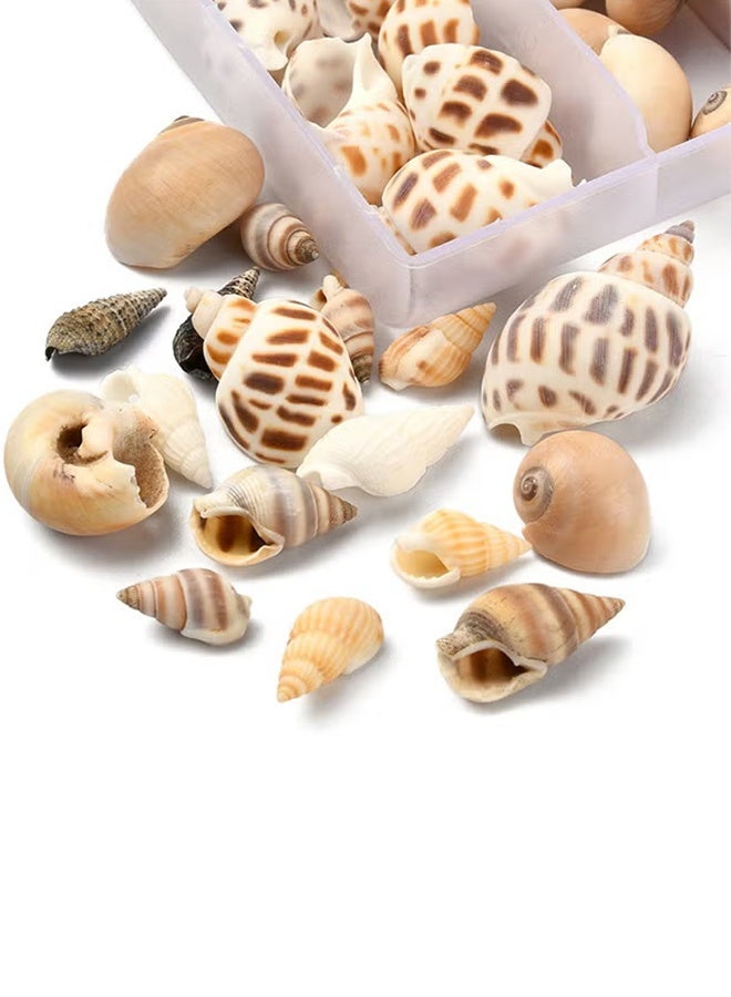 Lemon 100PCS Open Back Natural Spiral Shell Beads, Spiral Conch Shells Charms, Beach Seashells Beads, Suitable For DIY Craft Jewelry Making ,Home Or Wedding Decoration - Image 4