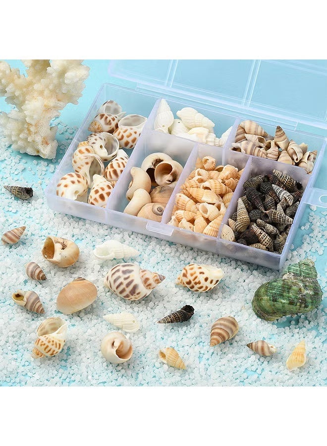 Lemon 100PCS Open Back Natural Spiral Shell Beads, Spiral Conch Shells Charms, Beach Seashells Beads, Suitable For DIY Craft Jewelry Making ,Home Or Wedding Decoration - Image 3
