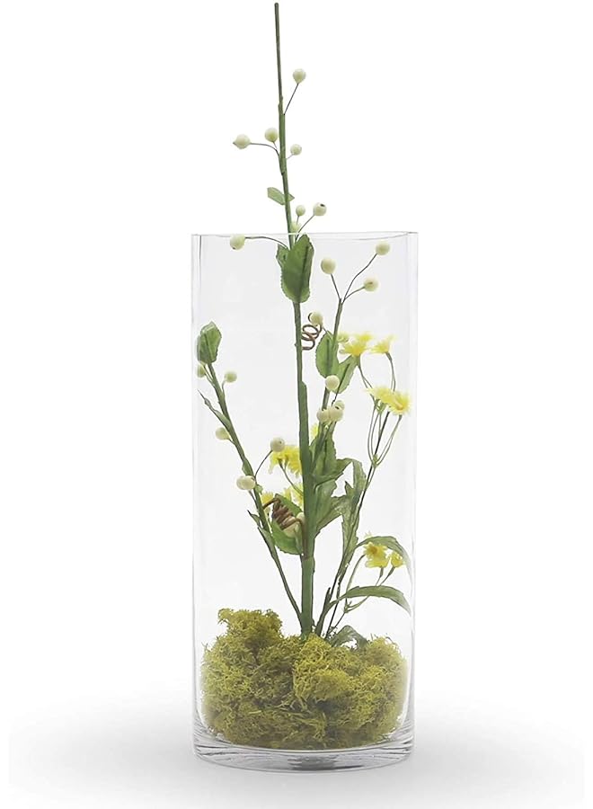erorex Glass Cylinder Vase Clear Width 4In Height 7.8In - Image 3