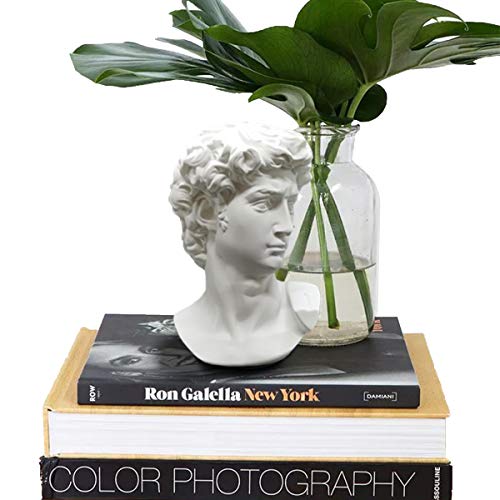 Banhey Greek Statue of David - Head Bust for Mythology and Roman Home Decor - Image 4