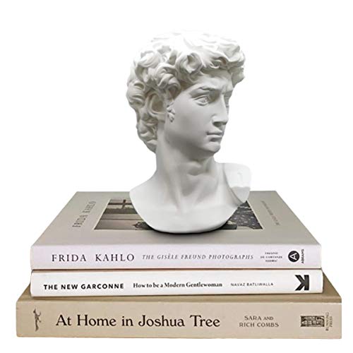 Banhey Greek Statue of David - Head Bust for Mythology and Roman Home Decor - Image 1