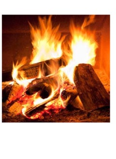 GO2CAMPS Premium European Birch Firewood Logs - 10 Kg Net Bag - Kiln Dried Hardwood for Maximum Heat Output, Clean Burning & Easy Lighting - Ideal for Camping, BBQ, Fireplaces, Wood Stoves, Fire Pits & Pizza Ovens  - Image 3
