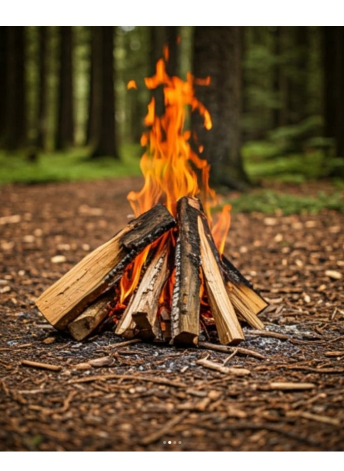 GO2CAMPS Premium European Birch Firewood Logs - 10 Kg Net Bag - Kiln Dried Hardwood for Maximum Heat Output, Clean Burning & Easy Lighting - Ideal for Camping, BBQ, Fireplaces, Wood Stoves, Fire Pits & Pizza Ovens  - Image 5