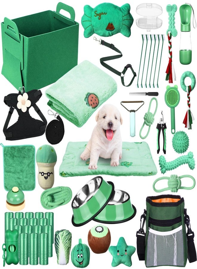 Abbylike 50 Pcs Puppy Supplies Starter Kit for Small Dogs Puppy Essentials Includes Leash, Bowls, Teeth Brushes, Water Bottle, and More Accessories for Dogs Christmas Welcome Gift(Green) - Image 1