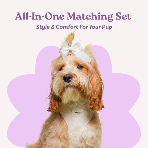 Daizzy Gear Medium Dog Harness Set – Cute No Pull, All Weather, Breathable Harness and Leash Set with Collar, Bandana, Sailor Bow & Poop Bag Holder – Adjustable, Soft & Stylish - Cream Hearts on Jacquard Fabric - Image 2