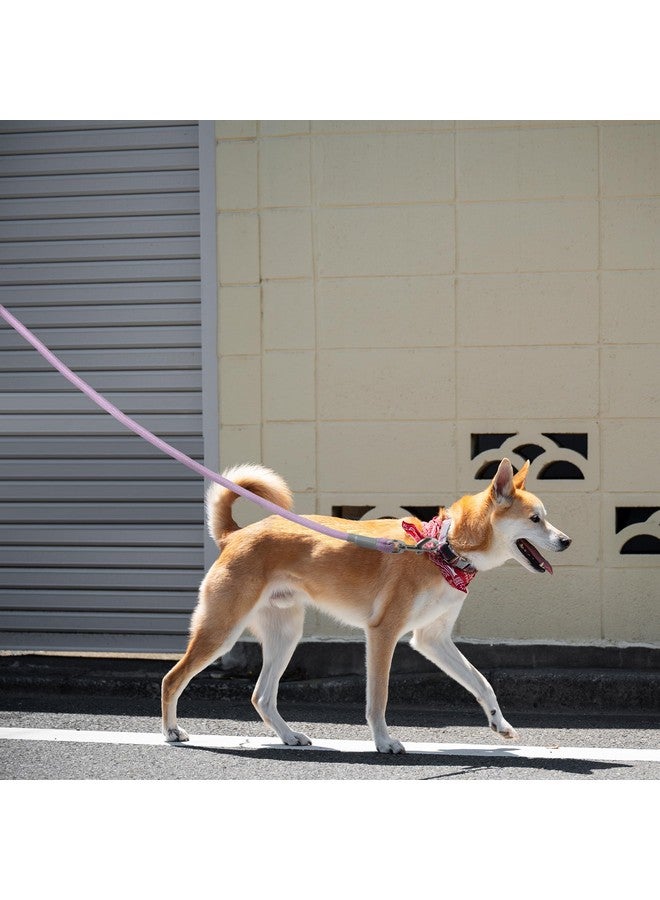 مايل هاي لايف مقود كلاب مايل هاي لايف، بمقبض مبطن مريح، ومقود من حبل النايلون الأرجواني مع أطراف فولاذية، ومقود حيوانات أليفة متين بطول 6 أقدام (أرجواني، 72 بوصة) - Image 2