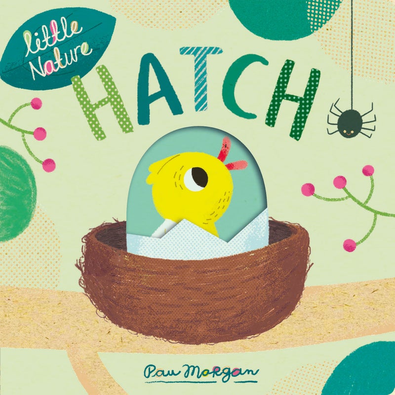 Hatch 