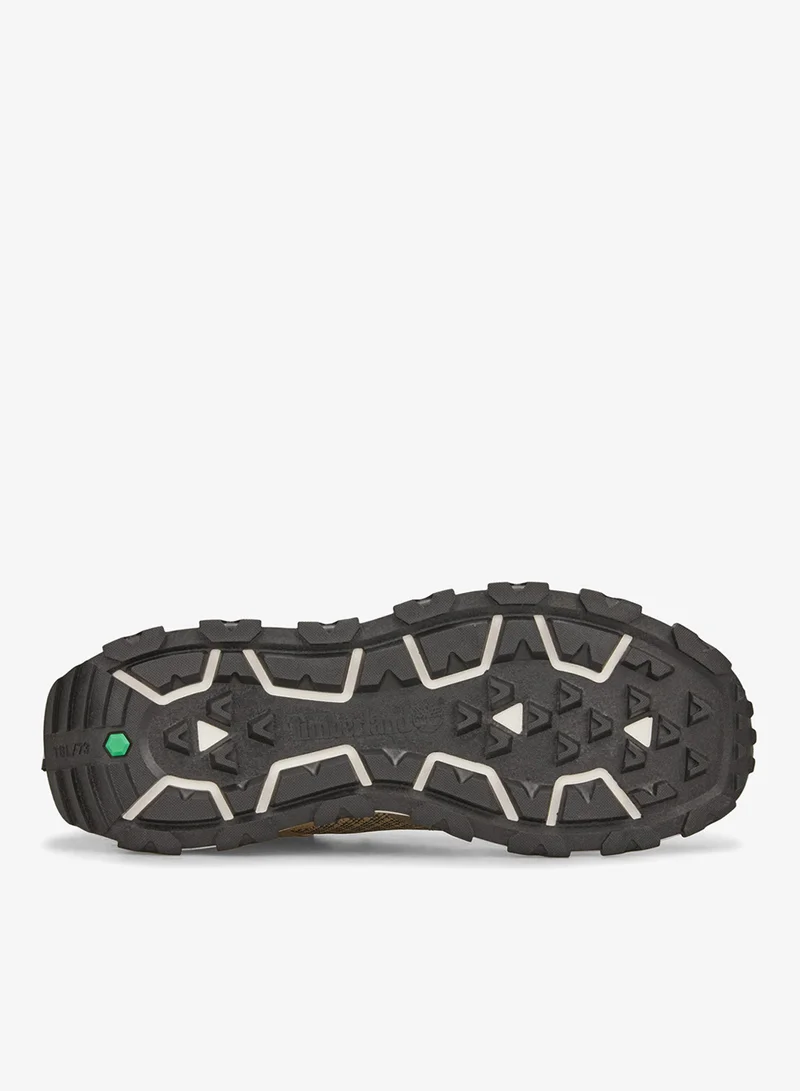 Timberland Brown Men's Winsor Trail Low Shoes for Men | Best Price UAE