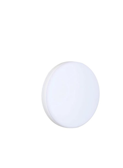 36W LED Ceiling Light Hanging Outside White Lighting