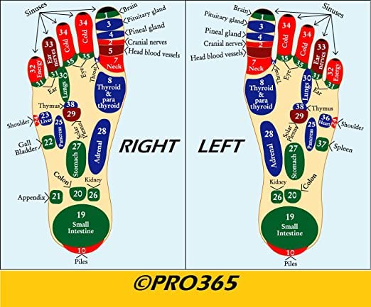 PRO365 Waist Disc Acupressure With Magnets Reflexology Slimming Abdominal 2 in 1 tummy twister Ab Exerciser (Random Color) - Image 5