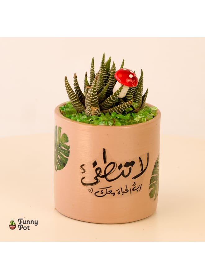 بوت صبار طبيعي
