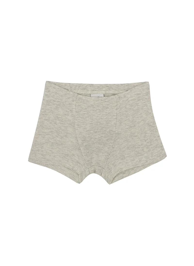 Antebies Fish and Fun Print Boxers