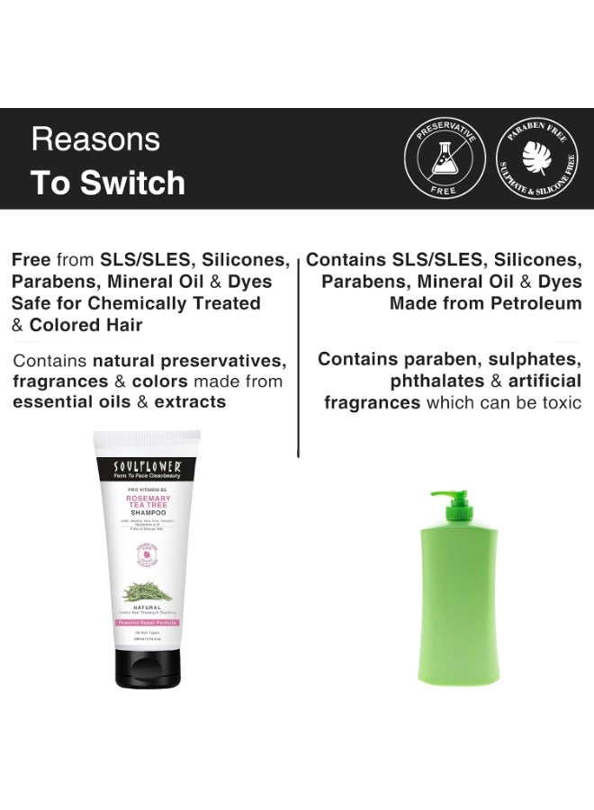 سول فلاور شامبو سول فلاور روزماري لنمو الشعر، مضاد للتساقط، شعر أقوى، لامع، طويل، وفروة رأس صحية، مع شجرة الشاي، وبرو فيتامين ب5 | للرجال والنساء | 200 مل - Image 3