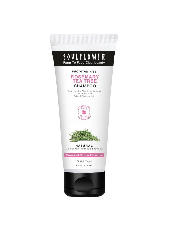 سول فلاور شامبو سول فلاور روزماري لنمو الشعر، مضاد للتساقط، شعر أقوى، لامع، طويل، وفروة رأس صحية، مع شجرة الشاي، وبرو فيتامين ب5 | للرجال والنساء | 200 مل - Image 1