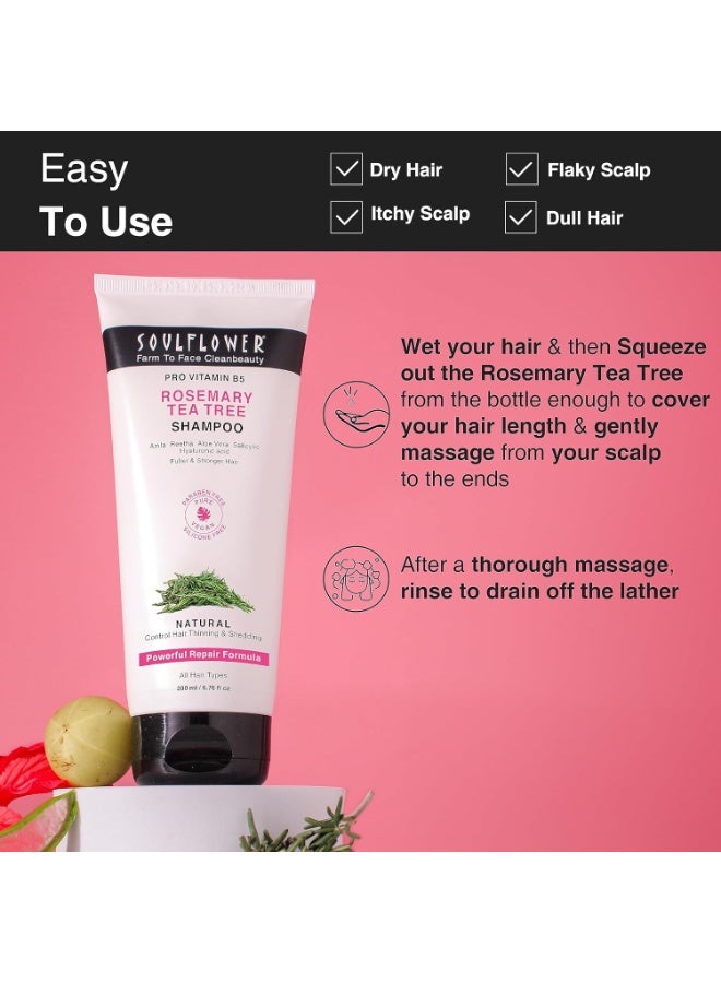 سول فلاور شامبو سول فلاور روزماري لنمو الشعر، مضاد للتساقط، شعر أقوى، لامع، طويل، وفروة رأس صحية، مع شجرة الشاي، وبرو فيتامين ب5 | للرجال والنساء | 200 مل - Image 4