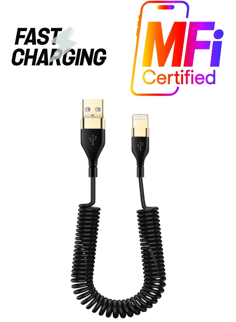 erorex Coiled Cable for Apple CarPlay, Expansion Spring Coiled Cable, Charge and Sync for c/XS/XS Max/XR/Phone X/8/8 Plus/7/7 Plus iPad Pro and More - Image 1