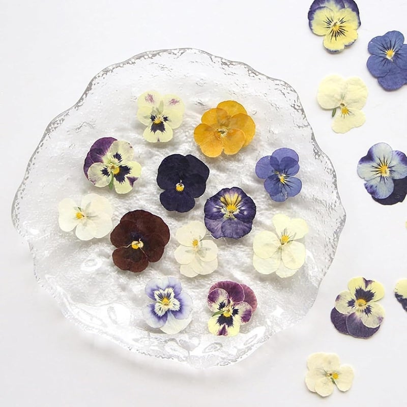 72 Pcs Mix Dried Pressed Flowers Real Pressed Flowers Dry Leaves Natural Dry Floral for Scrapbooking Crafts DIY Soap Candles Making Nail Crafts - Image 1