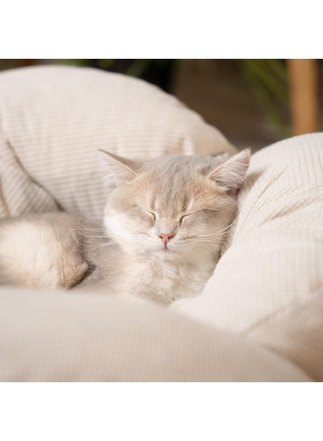 Arabest Elevated Cat Bed Wooden with Cushion Fluffy Pet Couch Sofa for Indoor Cats Raised Kitty Lounge Chair Suitable for Puppy, Cat Furniture(White) - Image 3