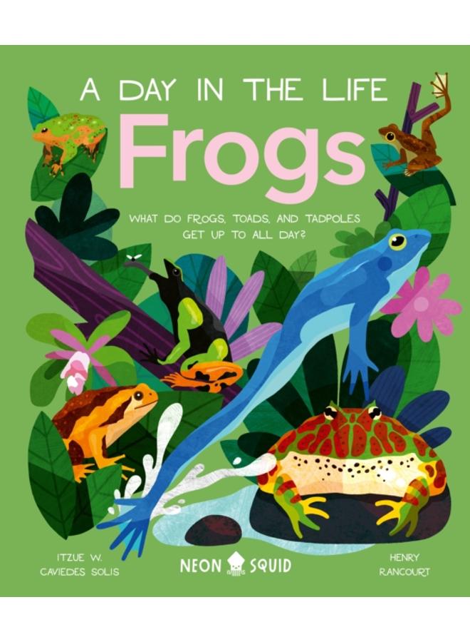 Frogs (A Day in the Life) : What Do Frogs, Toads, and Tadpoles Get Up to All Day? 