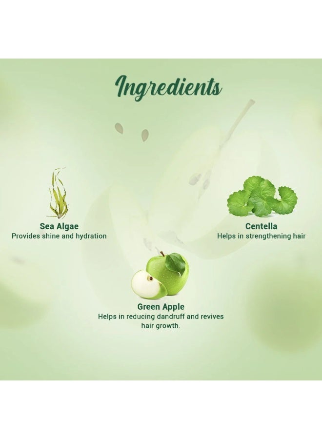 Biotique Bio Green Apple Fresh Daily Purifying Shampoo and Conditioner for Oily Scalp and Hair, 180ml - Image 5