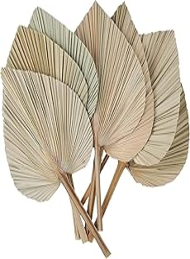 Natural Dried Palm Leaves for Home Decor - Real Palm Fronds Hand Trimmed into Palm Leaves Decor for Centerpieces, Flower Arrangements, Wall Art, and More, 10 Sheets