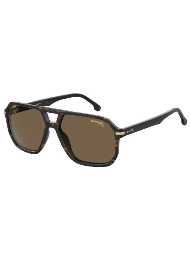 Carrera Aviator Sunglasses