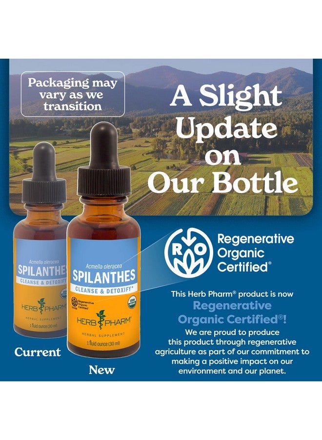 Herb Pharm Certified Organic Spilanthes Liquid Extract for Cleansing and Detoxification - 1 Ounce - Image 2