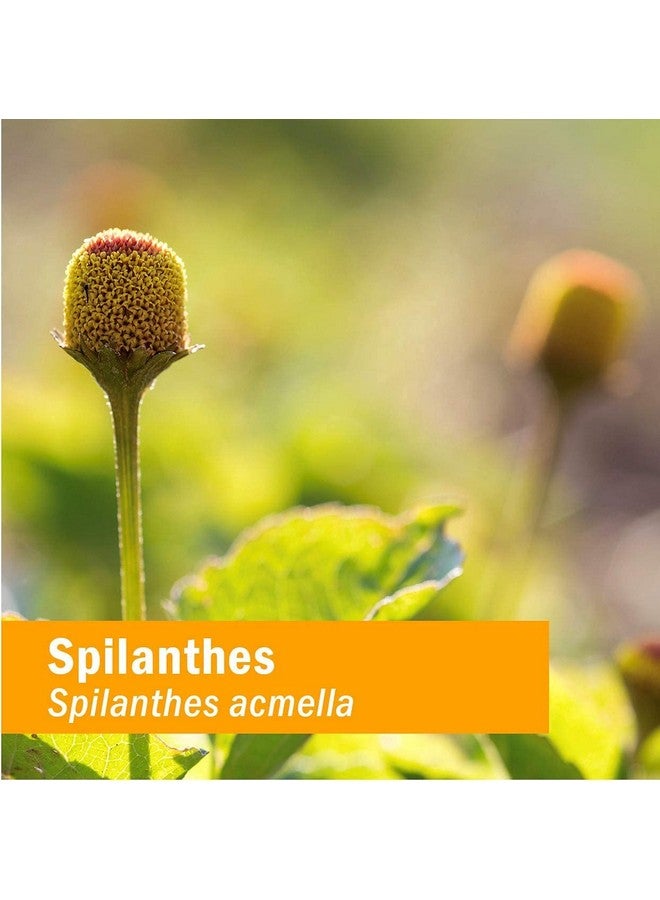 Herb Pharm Certified Organic Spilanthes Liquid Extract for Cleansing and Detoxification - 1 Ounce - Image 5