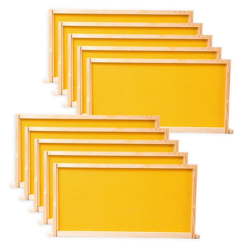 BeeCastle 10 Pack Beehive Frames and Wax Foundations for Deep Brood Bee Hives with Honeycombs Wooden Bee Hive Frames and Beeswax Coated Foundations, 9-1/8-Inch (Yellow) - Image 5