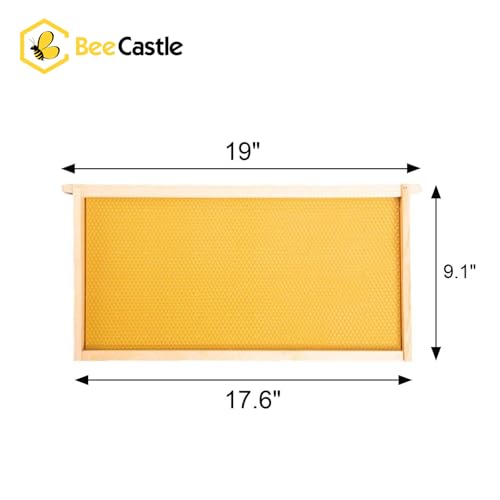 BeeCastle 10 Pack Beehive Frames and Wax Foundations for Deep Brood Bee Hives with Honeycombs Wooden Bee Hive Frames and Beeswax Coated Foundations, 9-1/8-Inch (Yellow) - Image 3