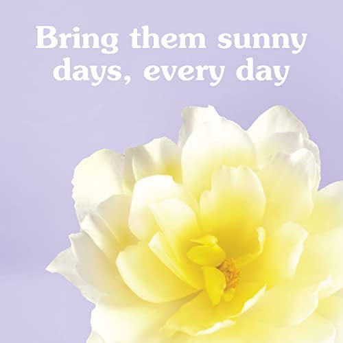 Suavitel Liquid Fabric Softener, Morning Sun, 46 oz - Image 5
