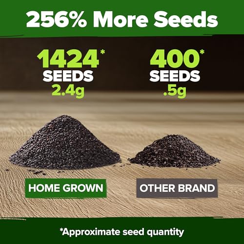 HOME GROWN 𝗨𝗦𝗔 𝗣𝗥𝗘𝗠𝗜𝗨𝗠 Italian Basil Seeds Bulk Pack 1,424 Sweet Large Leaf Basil Seeds for Planting 𝗡𝗢𝗡-𝗚𝗠𝗢 and Heirloom Herb Seeds for Planting Indoors or Outdoors (Ocimum basilicum) - Image 2