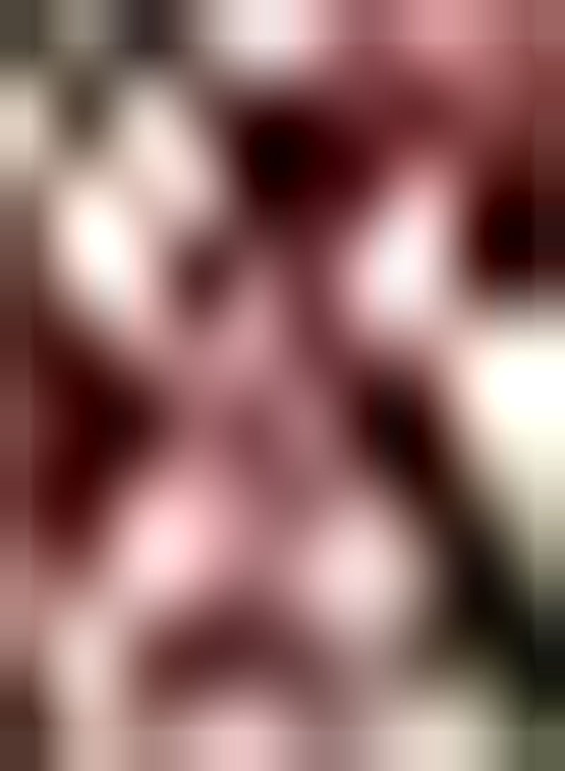 GGOOT seeds 50 UK Dianthus Seeds Sweet William Auricula Windowsill Garden Patio Border Plant - Image 1