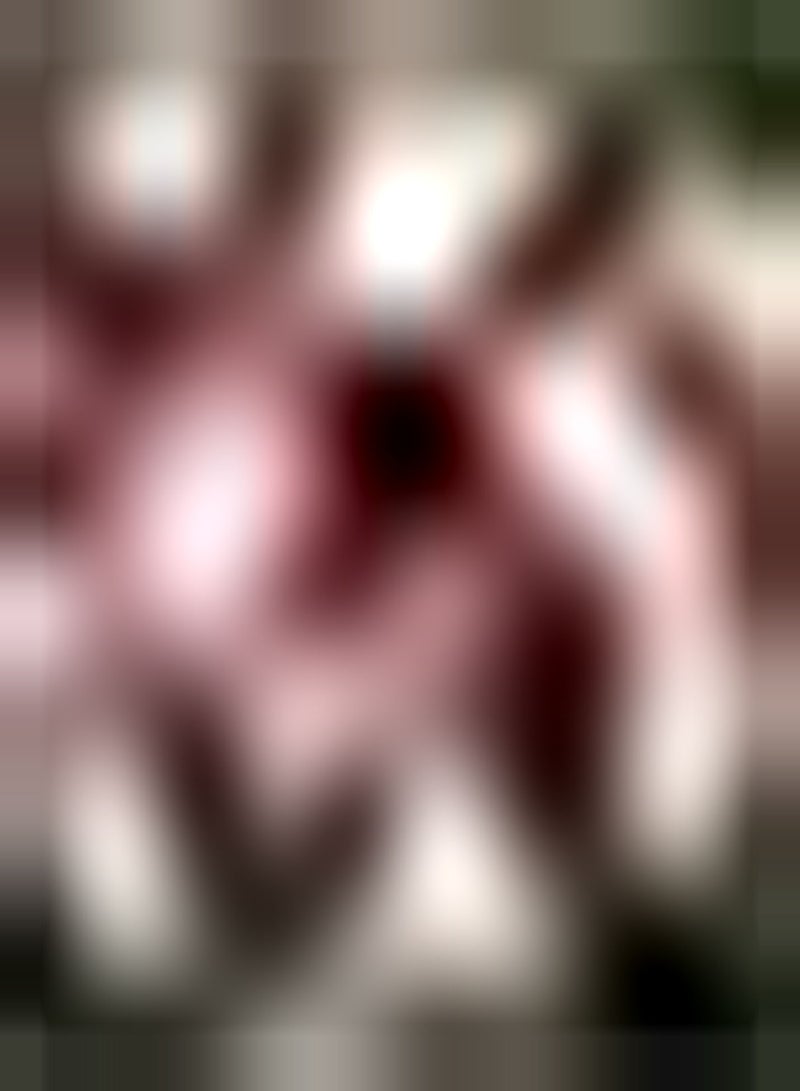 GGOOT seeds 50 UK Dianthus Seeds Sweet William Auricula Windowsill Garden Patio Border Plant - Image 3