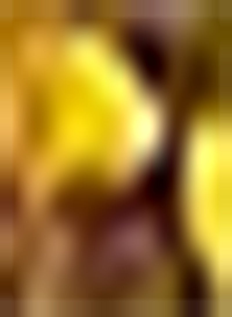 GGOOT 5pcs Gingo Seeds Loved by Gardeners Suitable for Anyone Who Wants to Plant Fast Growing Planting in Pieces Form Landscape Suitable for Beginners - Image 1