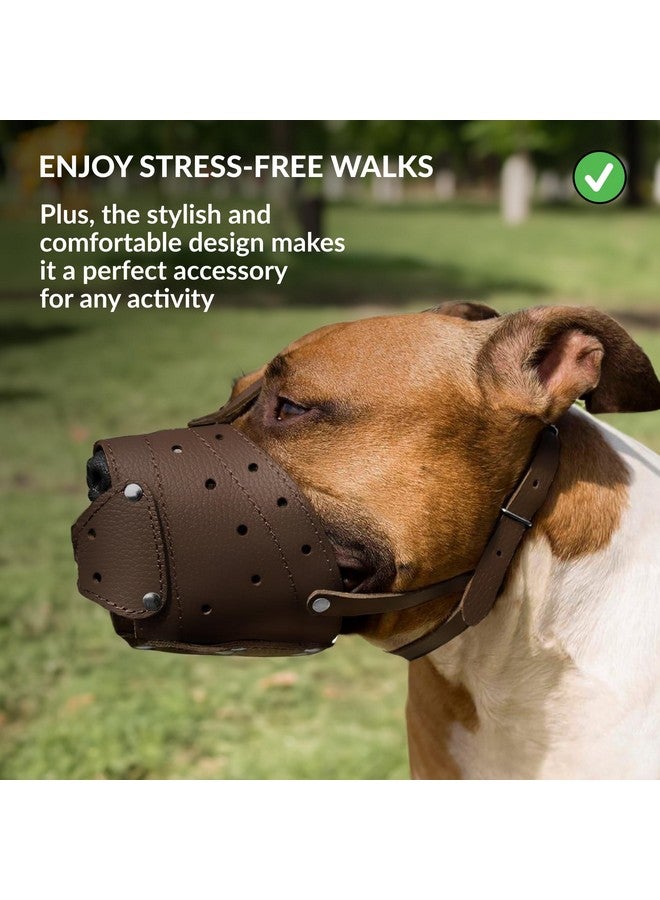 CollarDirect Leather Basket Dog Muzzle for German Shepherd Staffordshire Terrier Pitbull Medium Large Breeds Training, Anti-Barking, Biting, Chewing (Brown) - Image 5