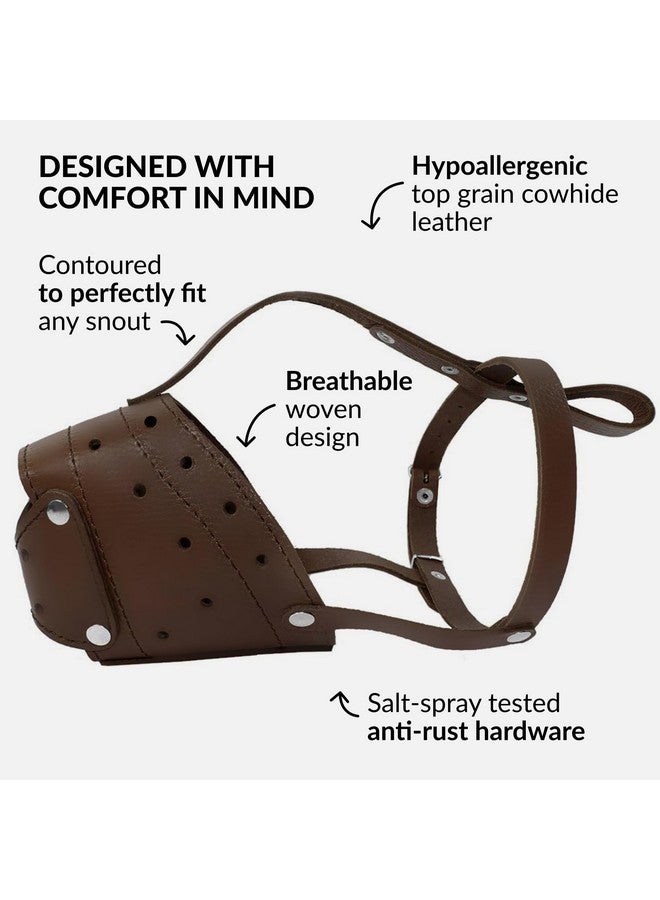 CollarDirect Leather Basket Dog Muzzle for German Shepherd Staffordshire Terrier Pitbull Medium Large Breeds Training, Anti-Barking, Biting, Chewing (Brown) - Image 3