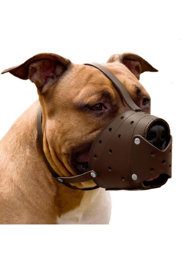 CollarDirect Leather Basket Dog Muzzle for German Shepherd Staffordshire Terrier Pitbull Medium Large Breeds Training, Anti-Barking, Biting, Chewing (Brown) - Image 1