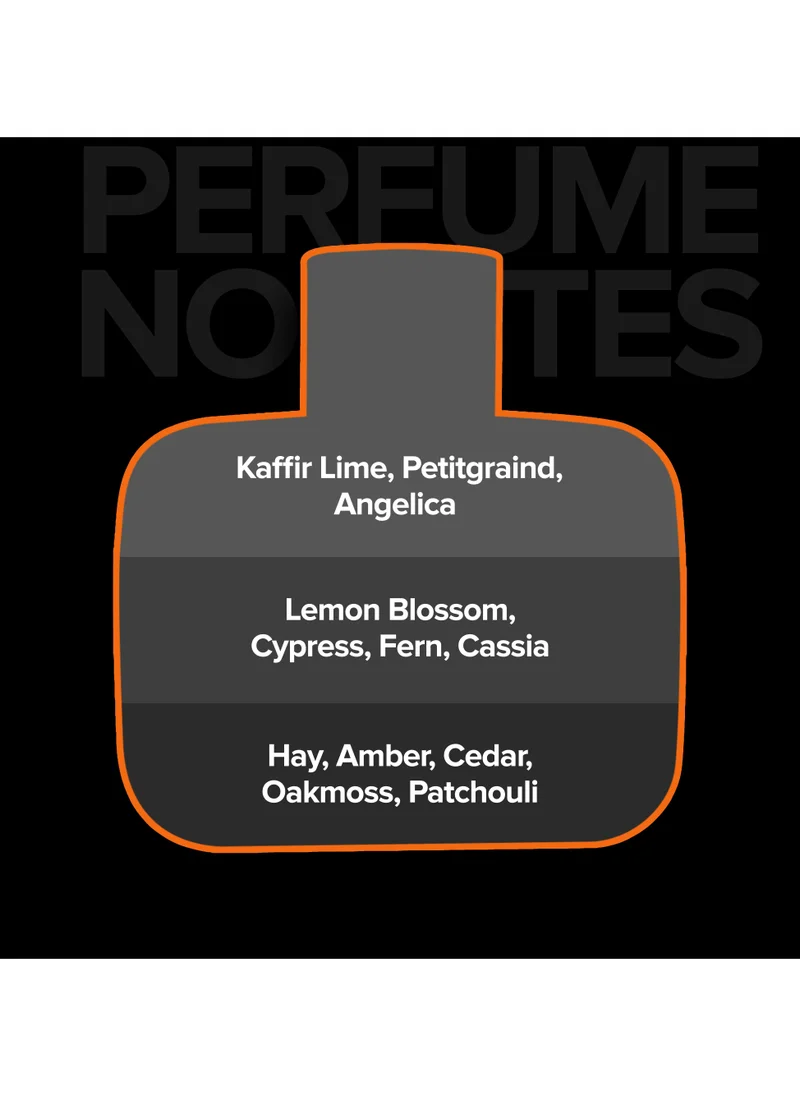 VILLAIN On The Rocks EDP for Men, Perfume for Men 100ml