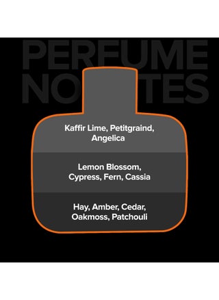 On The Rocks EDP for Men, Perfume for Men 100ml - view 5