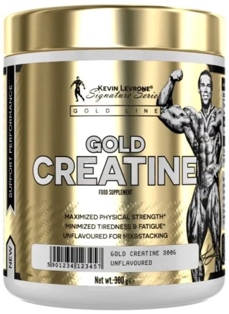 KEVIN LEVRONE Kevin Levrone Gold 300g 
