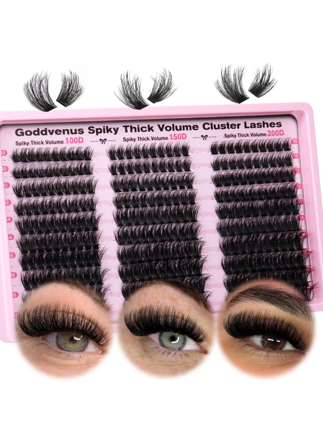 Goddvenus Fluffy Lash Clusters 100150200D Volume Eyelash Clusters 1016mm Wispy Individual Lashes D Curl Cluster Eyelash Extensions 300pcs DIY Lash ExtensionsD Curl 300pcs - Image 2