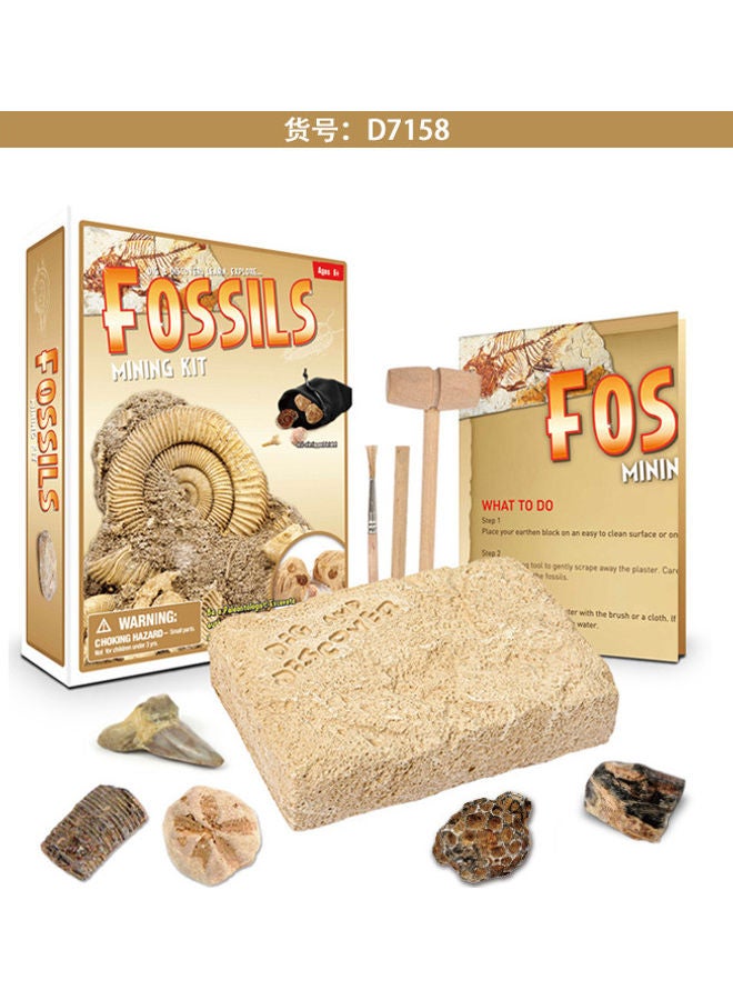 نيبمينينت أحجية تعليمية بتصميم البحث عن الكنز - Image 2