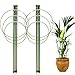 LEOBRO LEOBRO 2 Pack Plant Support Cage Metal Rust Resistant Garden Plant Support Ring Plant Stake Plant Support for Tomato,  - Image 2