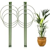LEOBRO LEOBRO 2 Pack Plant Support Cage Metal Rust Resistant Garden Plant Support Ring Plant Stake Plant Support for Tomato,  - Image 1