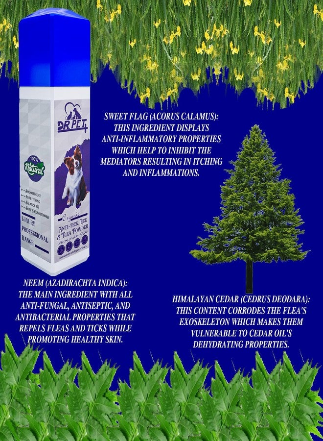 DR PET PLUS مسحوق دكتور بيت بلس للكلاب مصنوع من مكونات طبيعية فعالة، يساعد في مكافحة القراد والبراغيث، مناسب لجميع سلالات الكلاب - 100 غرام - Image 3