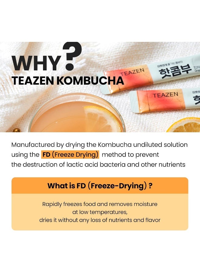 TEAZEN Ginger Lemon Hot Kombucha Tea - Image 5