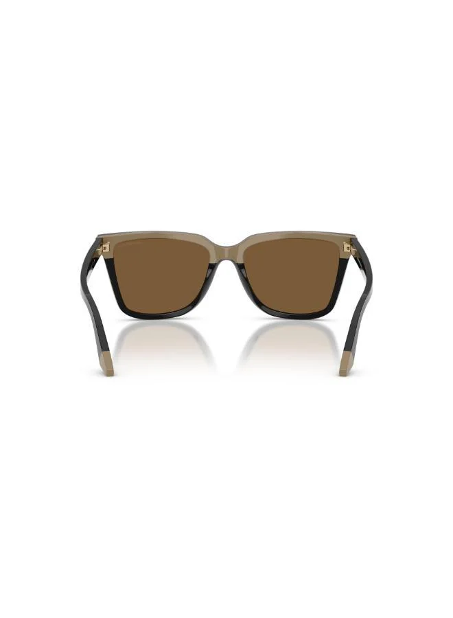 EMPORIO ARMANI  0EA4261 Irregular sunglasses for Women | Best Price UAE