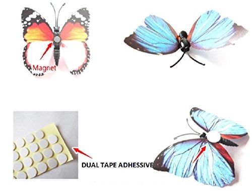PINDIA Decorative Beautiful DIY 3D Butterfly Removable PVC Home Wall Decor Magnet Wall Sticker (Red Color, Random Design), Set of 12 Pc - Image 2